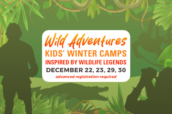 Wild Adventures Kids Winter Camps