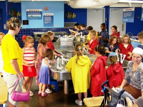 kids in yellow and red gather to complete an activity in cleveland ohio