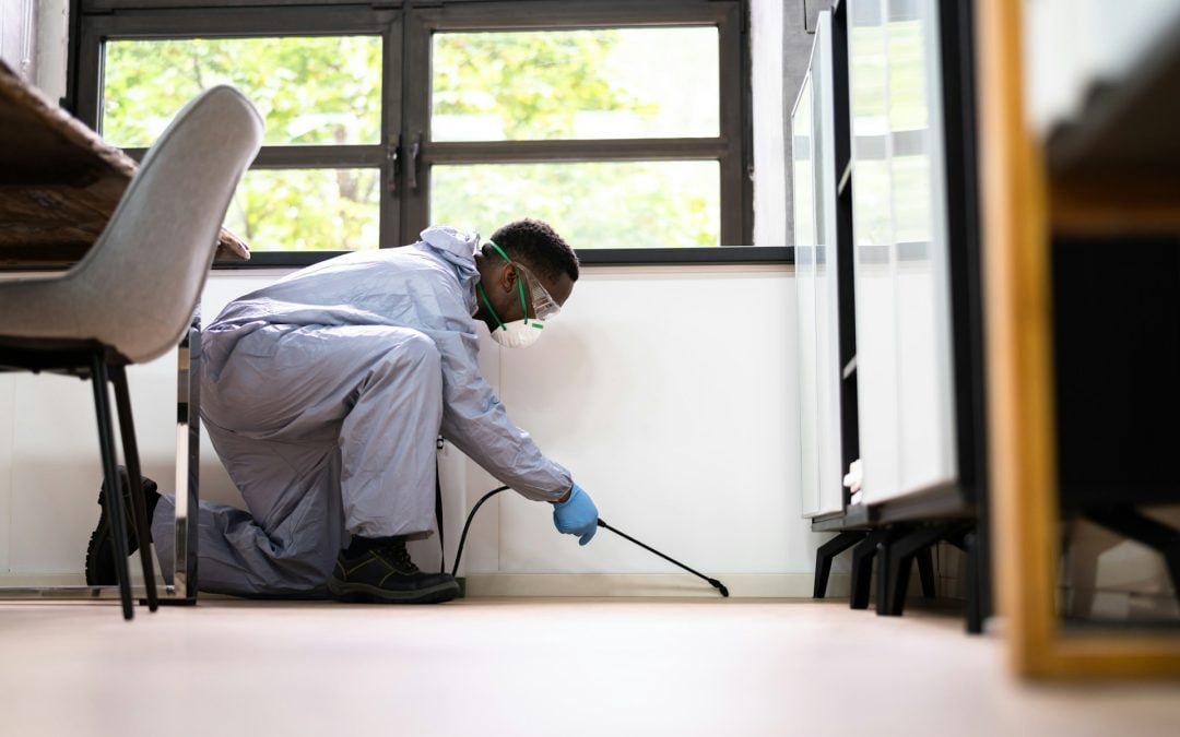 A man in a suit and gloves meticulously cleans a room, showcasing attention to detail and professionalism. 