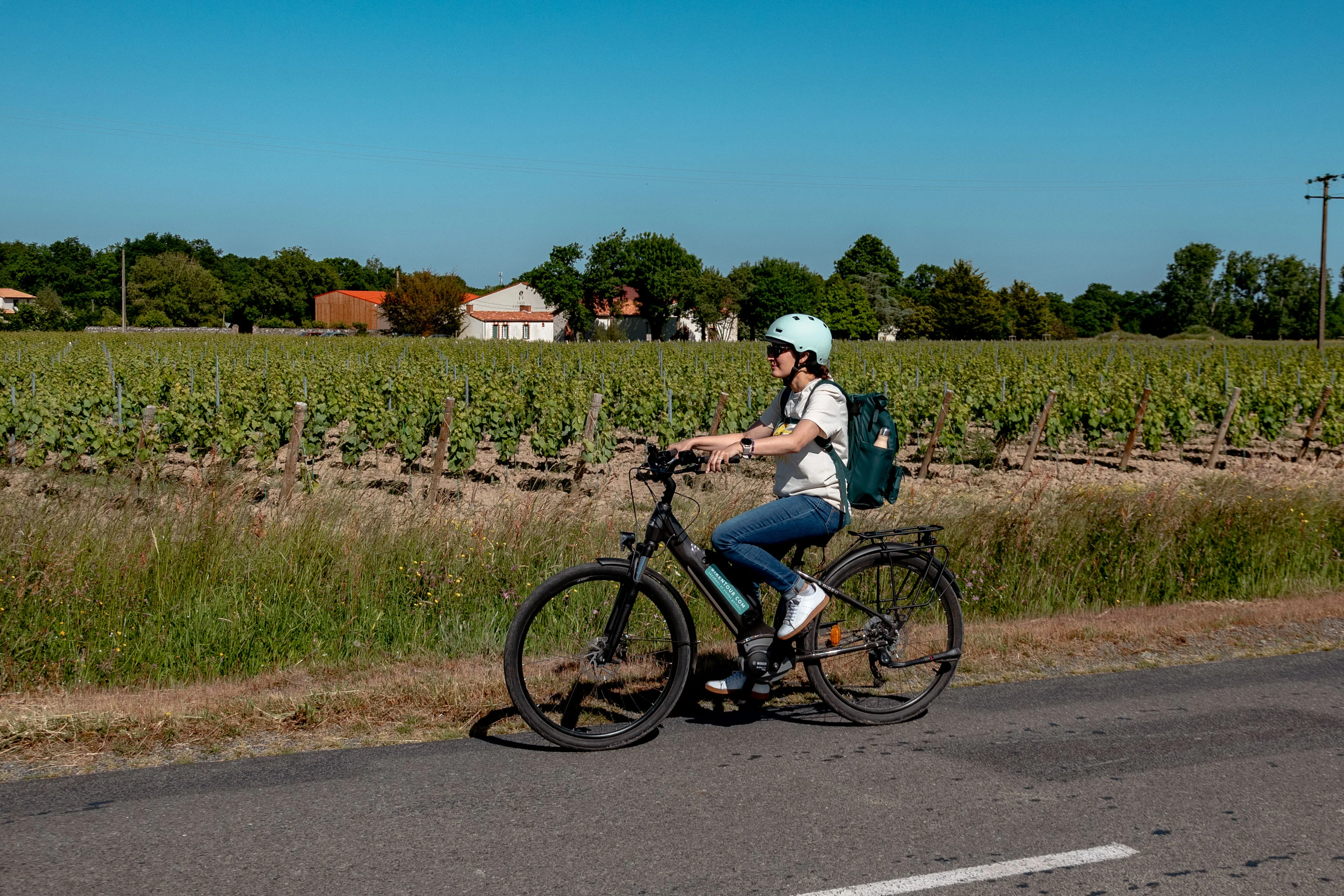 Voyage à vélo électrique le long de la Loire à vélo 