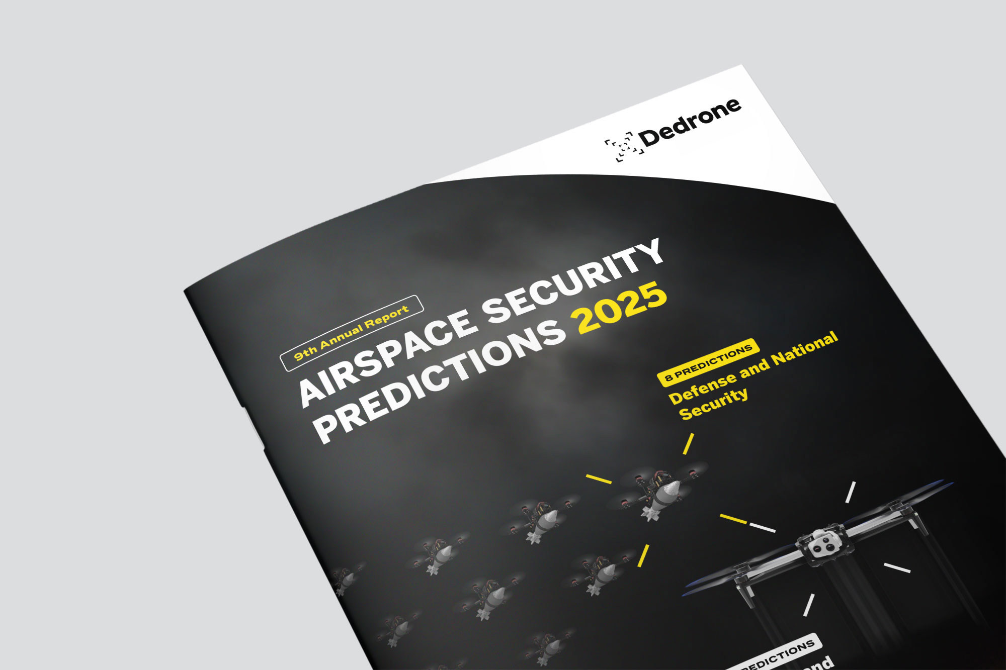 2025 Airspace Security Predictions 