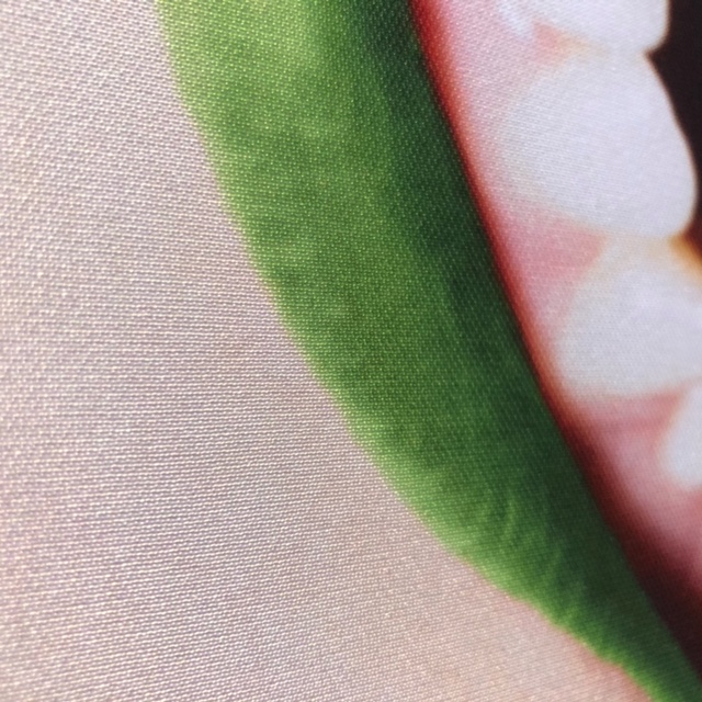 Another close-up of the graphic above showing the ink fully embedded in the display