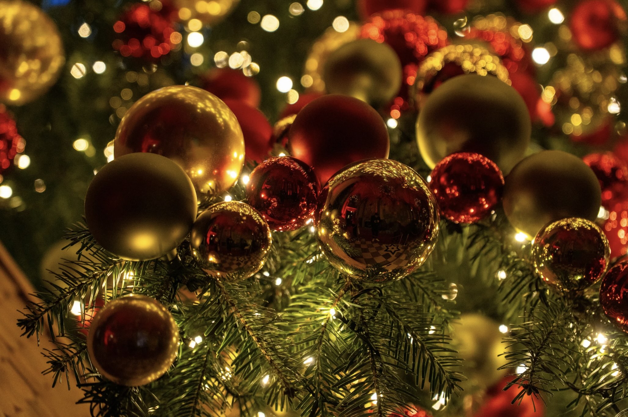 Un Noël magique au Moulin