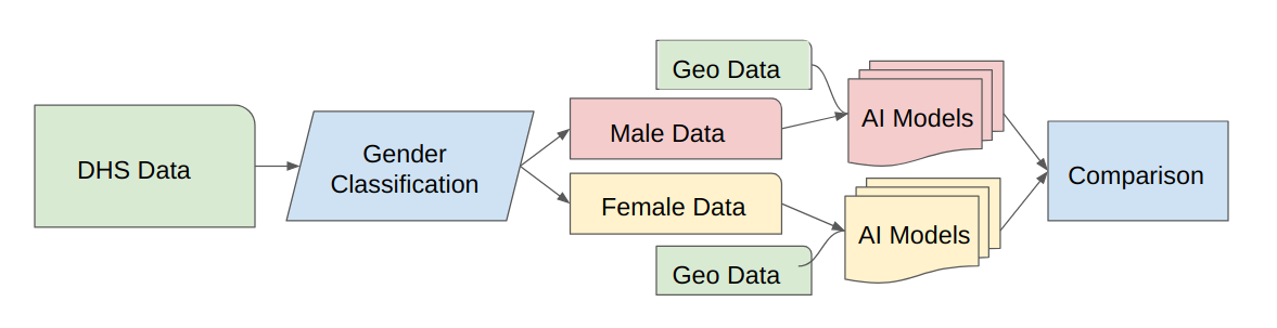 Flow chart of the AI gender classification process.