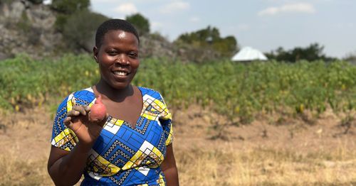 A lead farmer in a community in Tanzania shows off her sweetpotato crop. Photo by Katherine Nolan for AidData, used with permission.