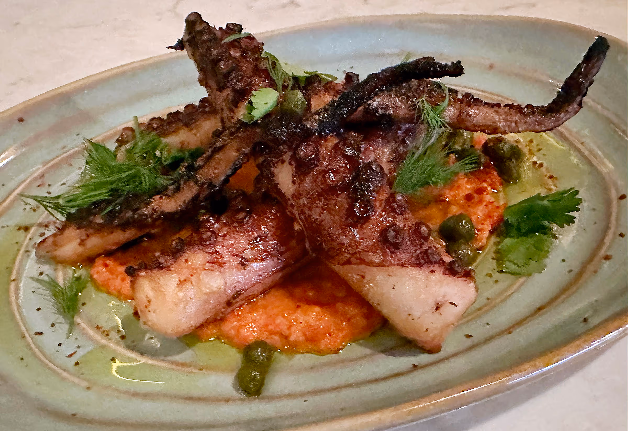 Grilled Spanish Octopus at Essex Mediterranean Steakhouse 