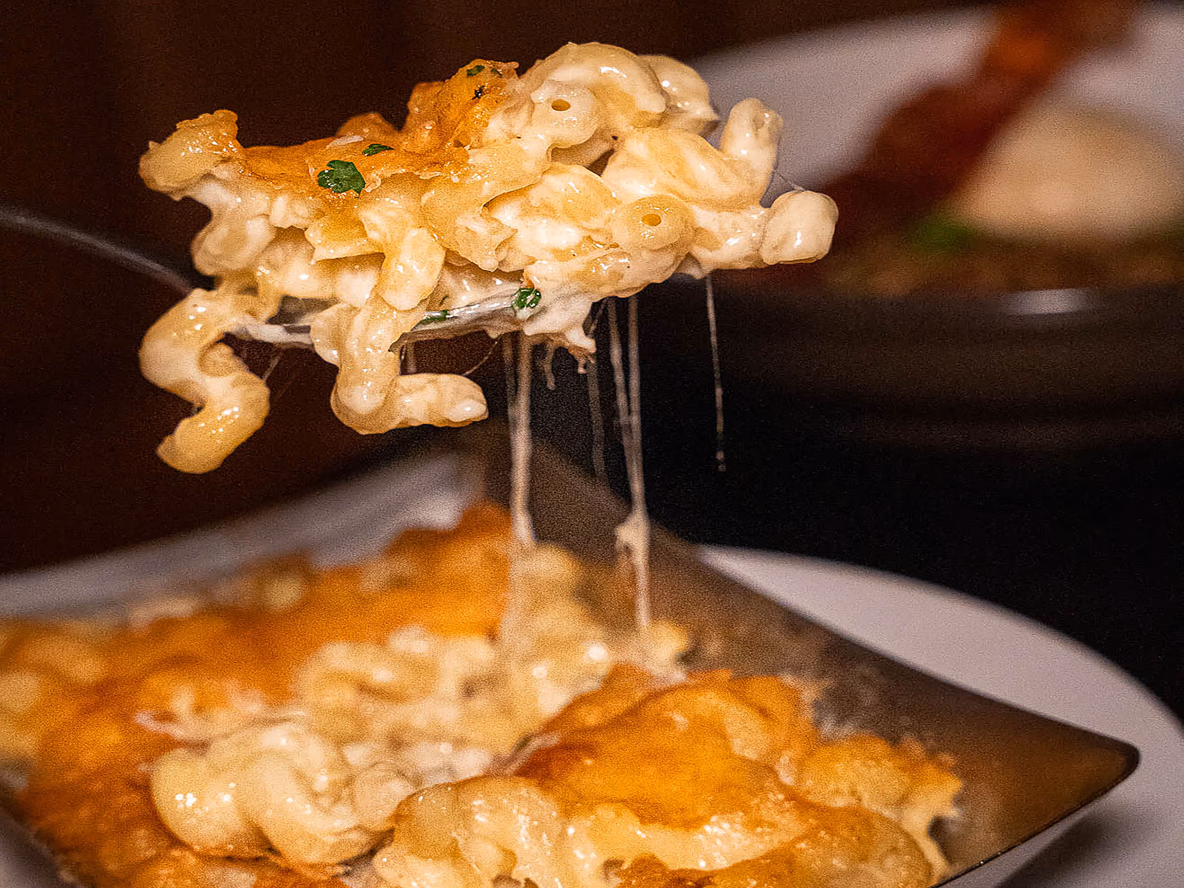 Manchego Macaroni & Cheese at Essex Mediterranean Steakhouse Bottomless Brunch NYC