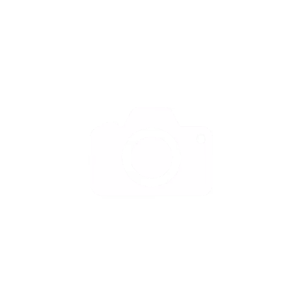Icon of a camera representing video capture and visual technology.
