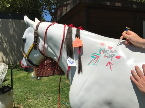 Napa Valley Fire Prevention Day