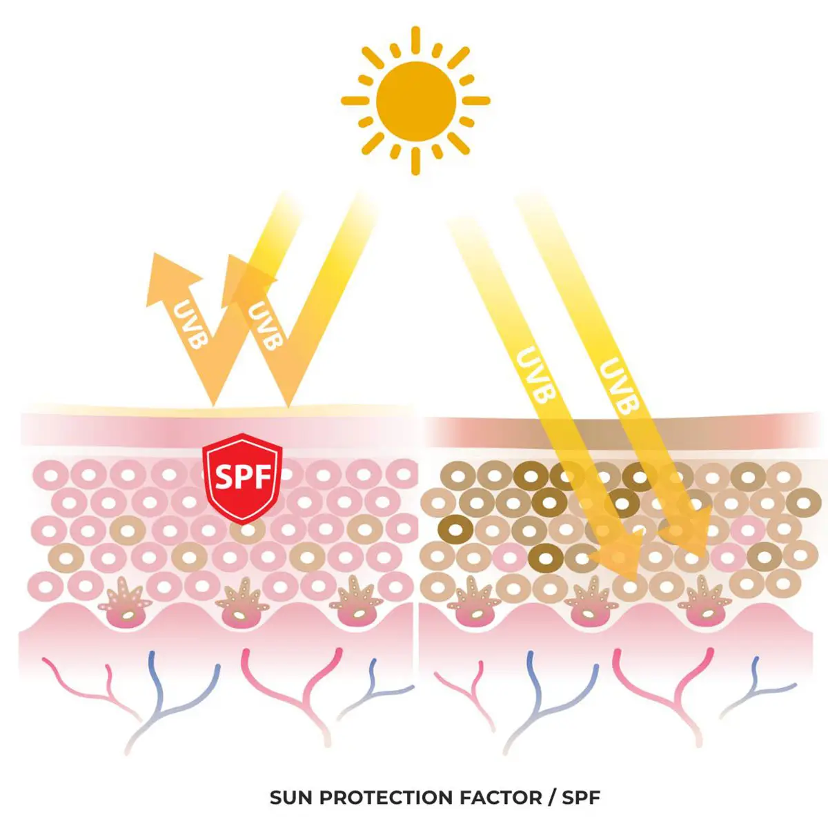 Skin tone pigmentation