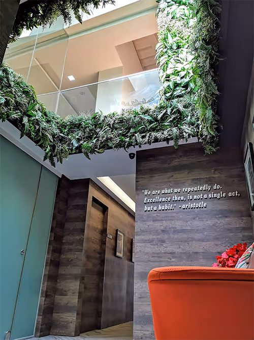Customised Beauty Aesthetic Medicine 6