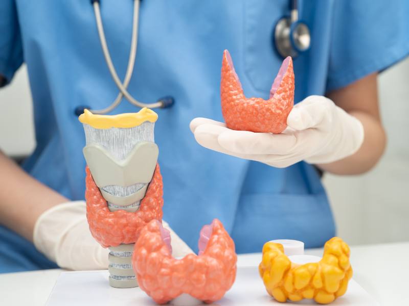 Toxicity of tattoo ink: How it increases cancer risks | Tattoo ink safety & compliance in Singapore