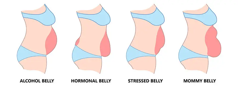 4 Different Types Of Belly Fat