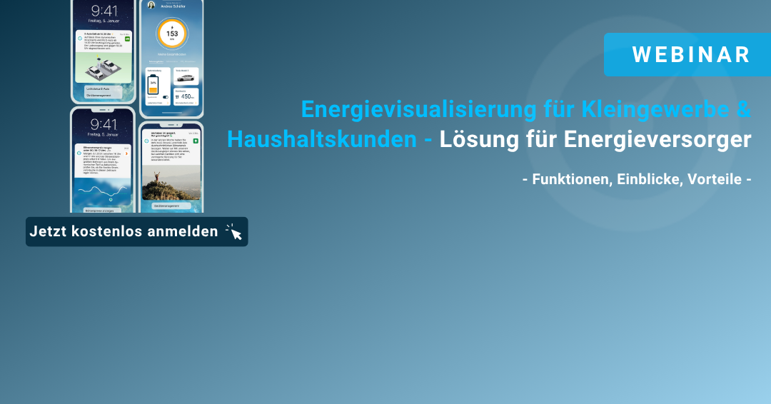 Webinar: Energievisualisierung für Kleingewerbe & Haushaltskunden - Lösung für Energieversorger