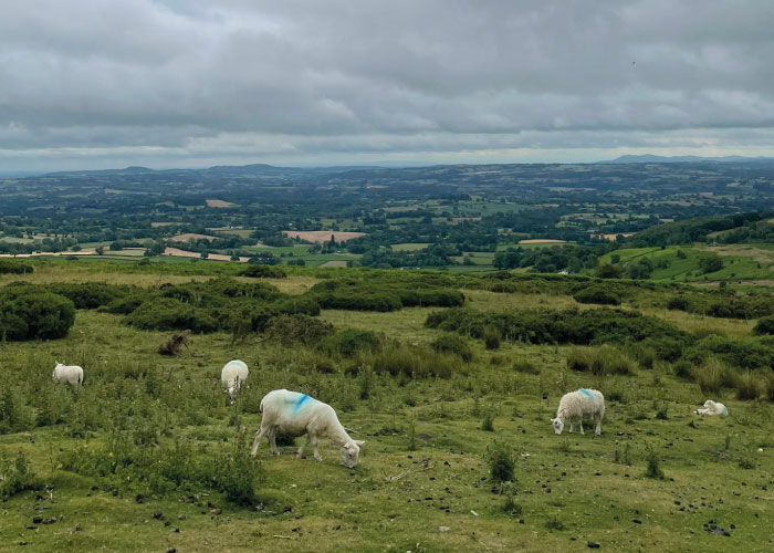 Fiona Cooke- Experienced Maternity Nurse & Author - Sleeping Newborn Baby
