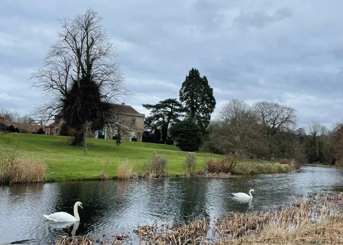 Fiona Cooke- Experienced Maternity Nurse & Author - Baby Feet