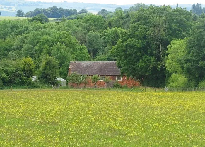 Fiona Cooke- Experienced Maternity Nurse & Author - Newborn Baby