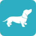 PlayPosit logo