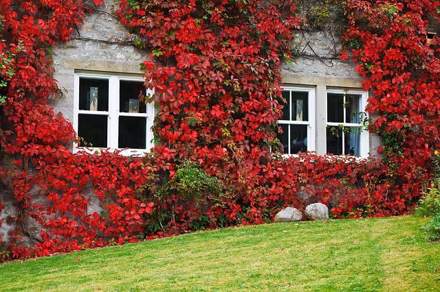 Jo Aldridge Affordable Property Finder