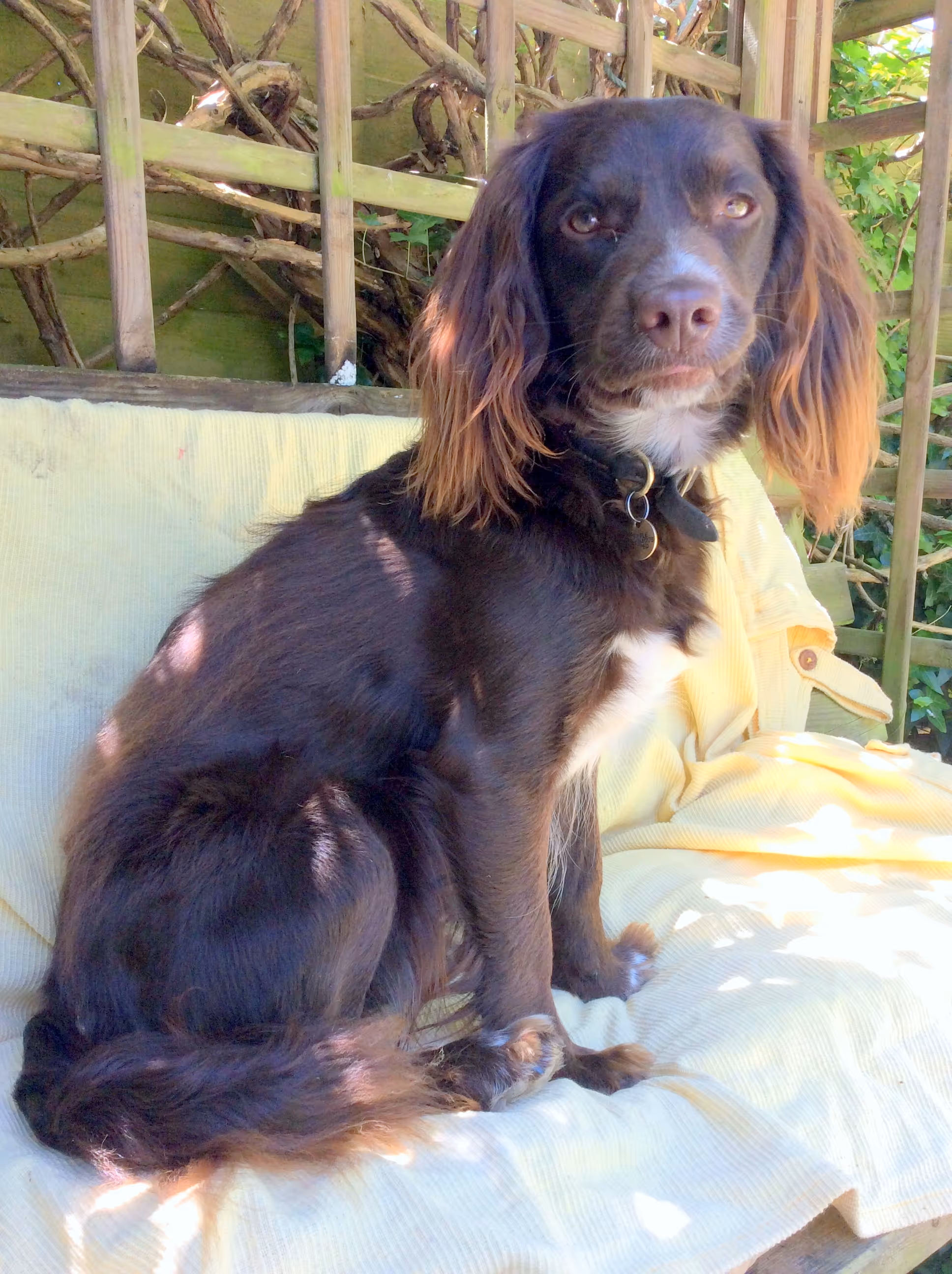 Jo Aldridge Property Hound