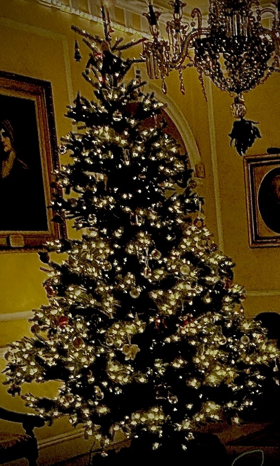 Jo Aldridge Property Hound Blog image