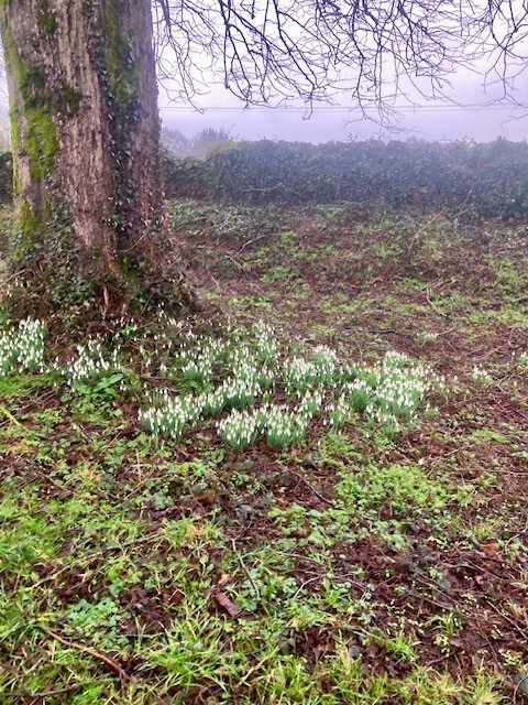 Jo Aldridge Property Hound Blog image