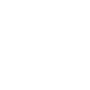 Logo with three building silhouettes and text: Licensed Building Practitioner, Building Confidence, www.dbh.govt.nz.