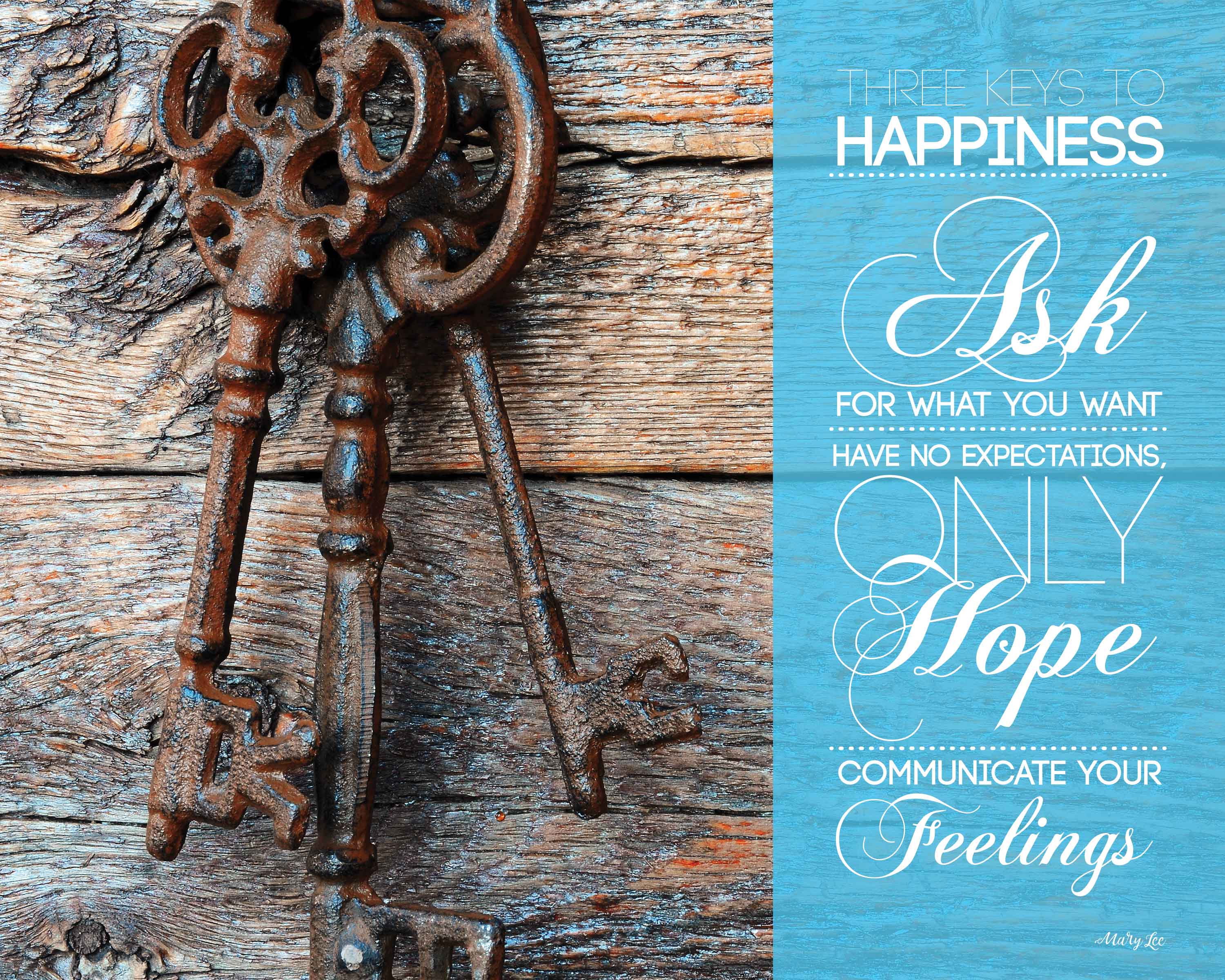 Happiness Poster