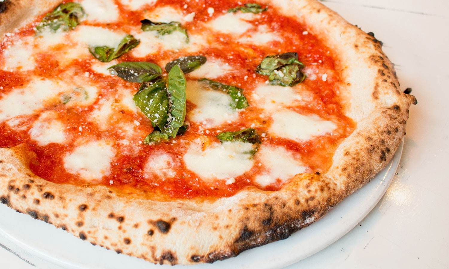 Recipes - True Italian Flavor