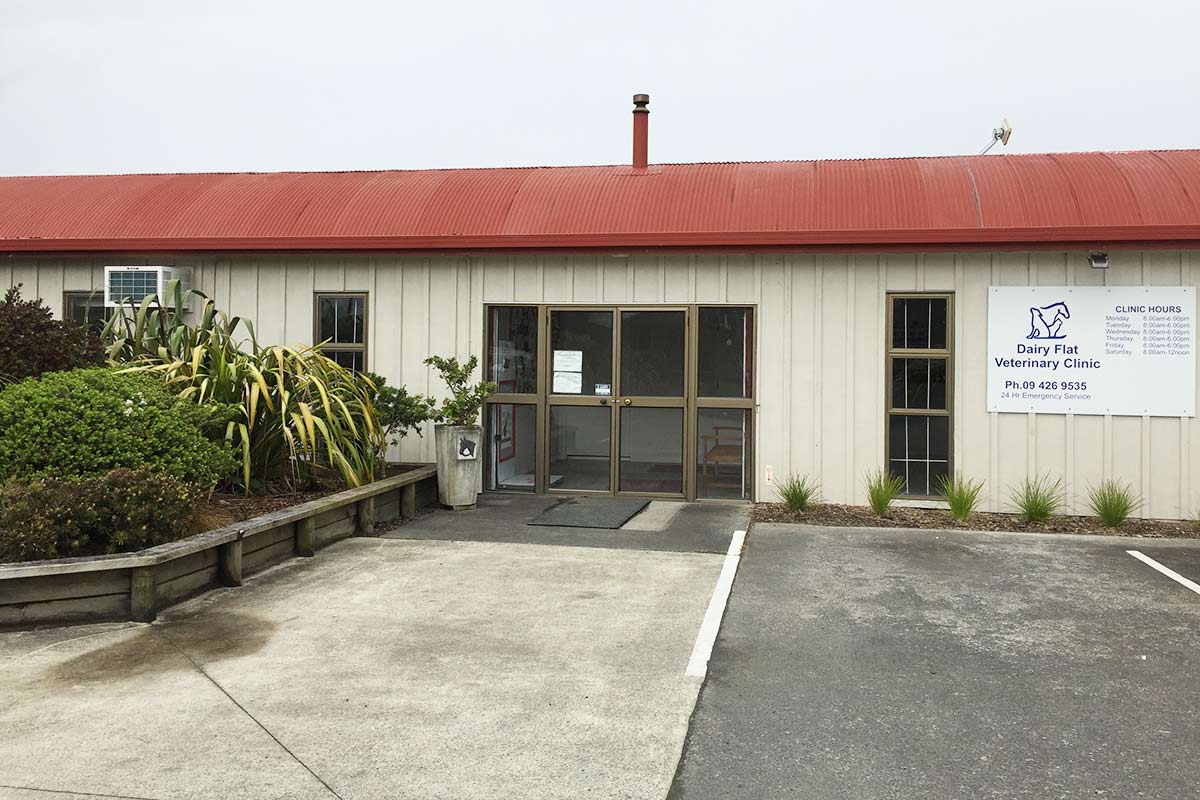 Dairy Flat Veterinary Clinic