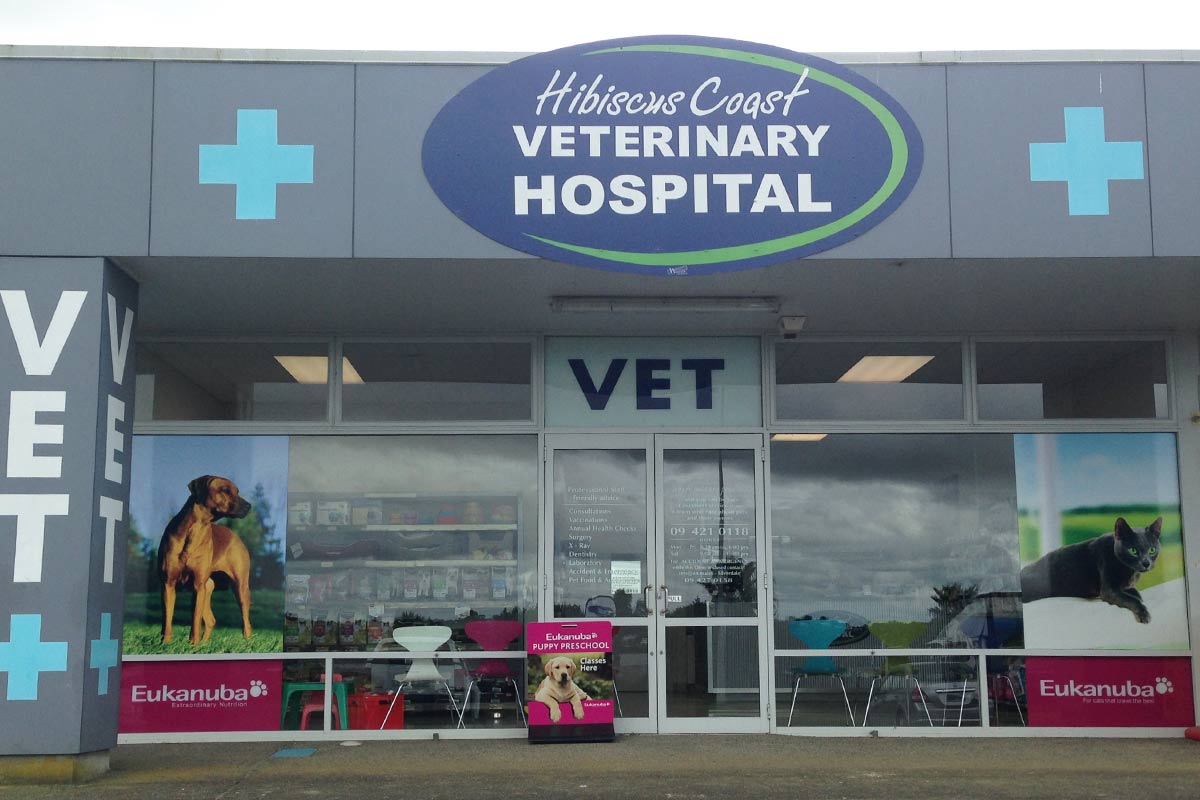 Hibiscus Coast Veterinary Hospital (Orewa)