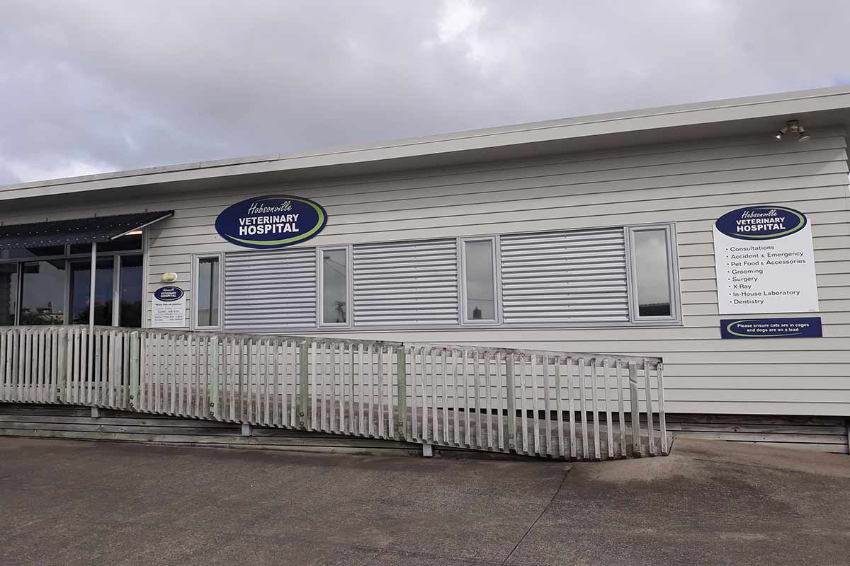 Hobsonville Veterinary Hospital