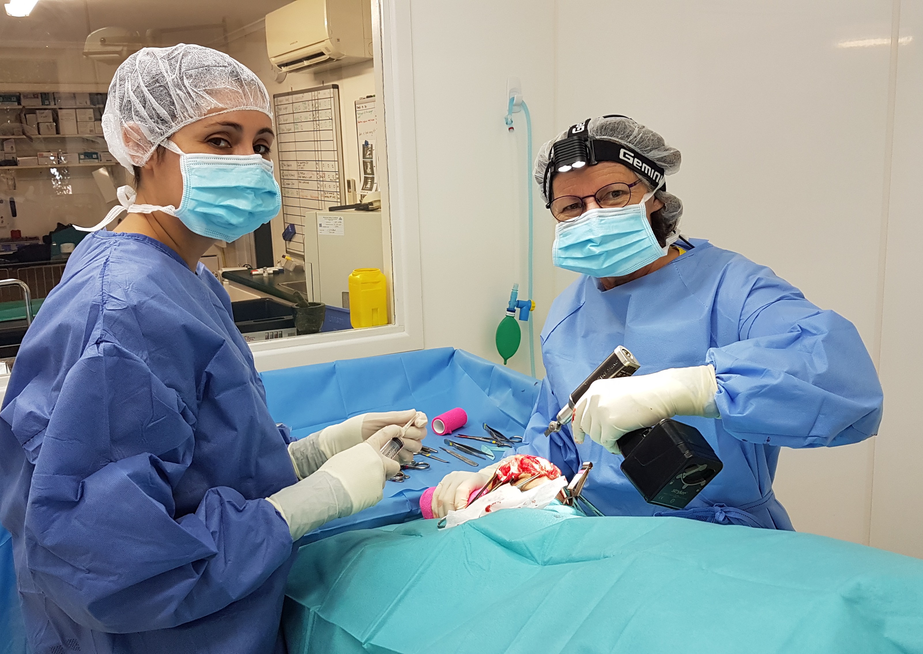 Surgical Referrals