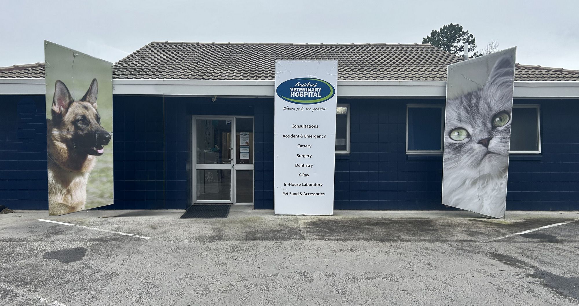 Auckland Veterinary Hospital