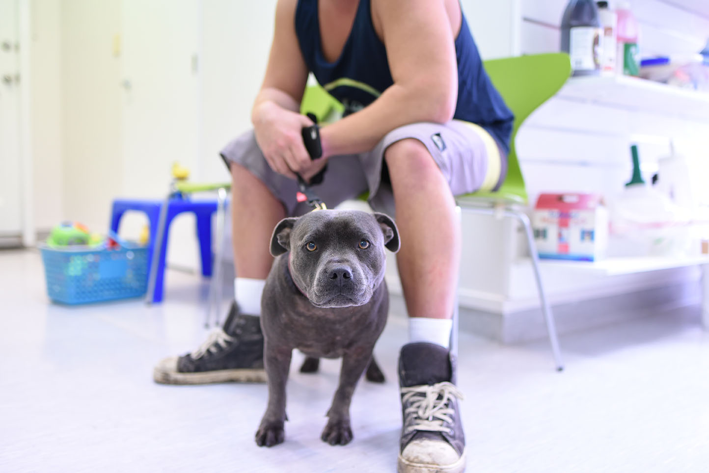 Pet Medical Care & Hospitalisation