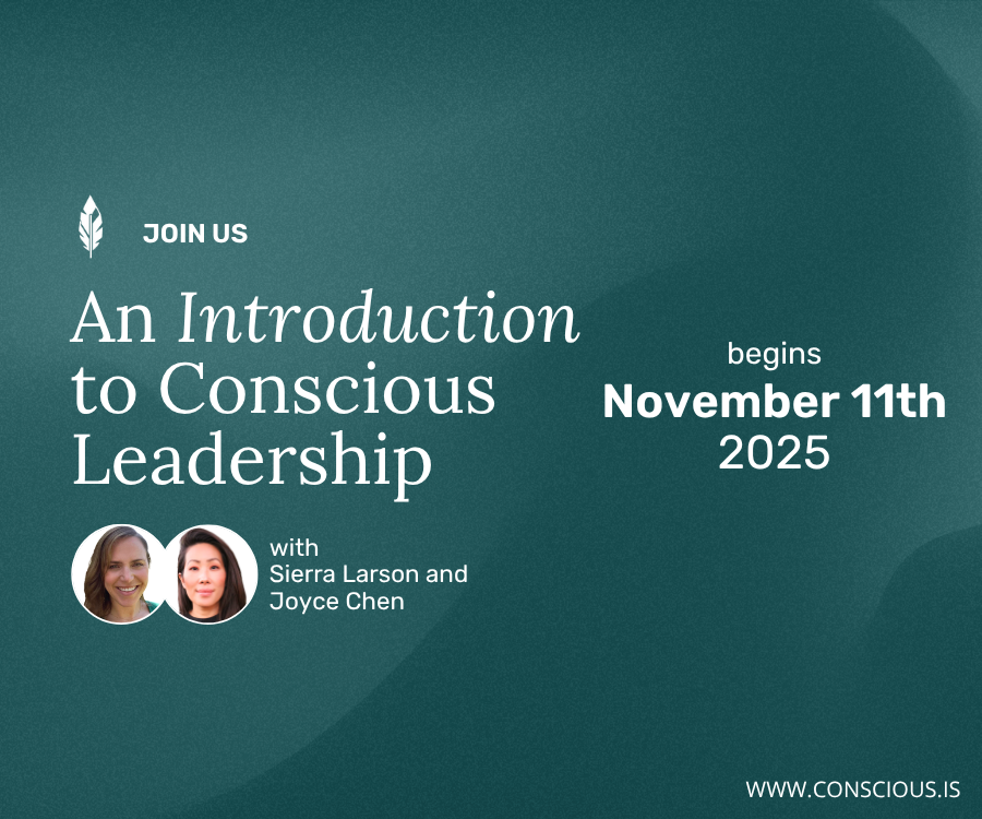 Intro to Conscious Leadership / Sierra Larson and Joyce Chen / November 4, 2025