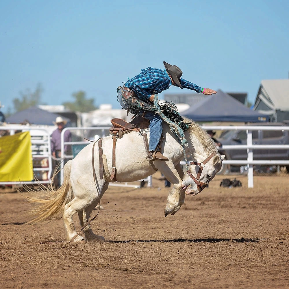 Cowboy on a bucking bronco at a rodeo