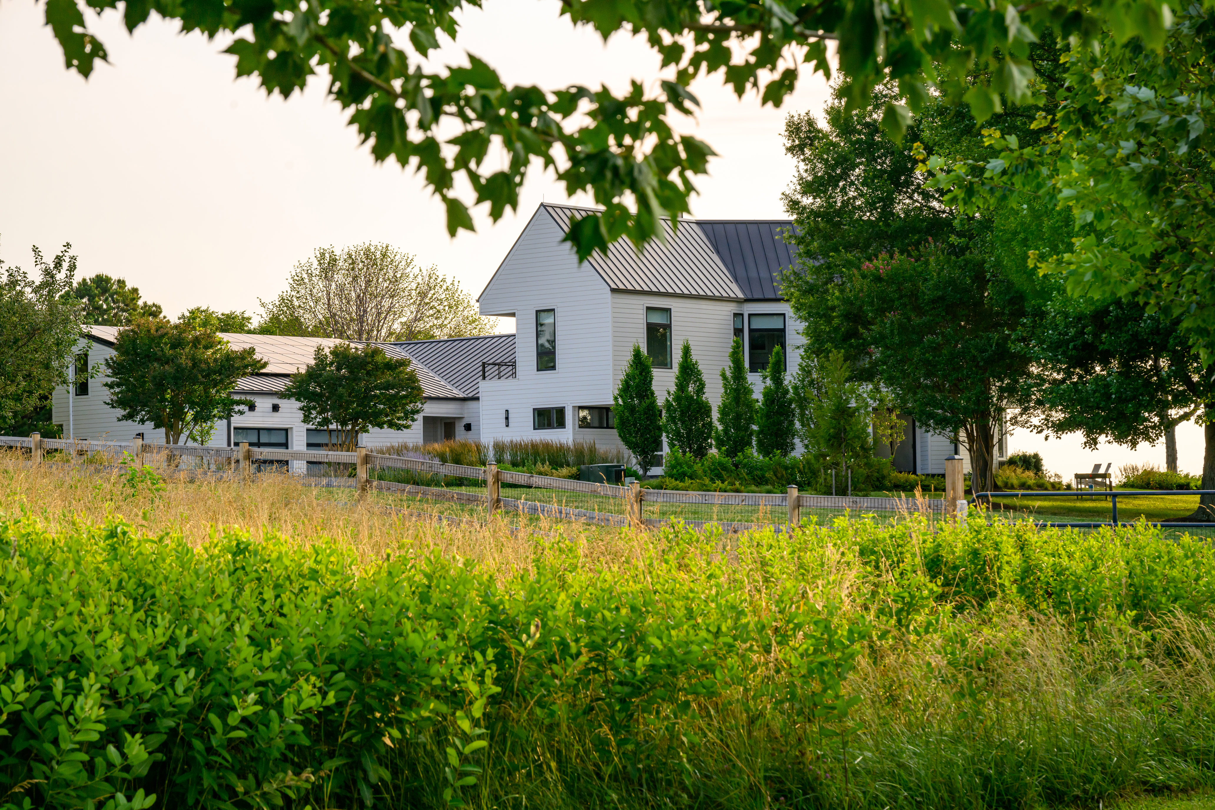 Chesapeake Meadow Retreat