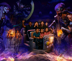 Guardians of the Hidden Chamber