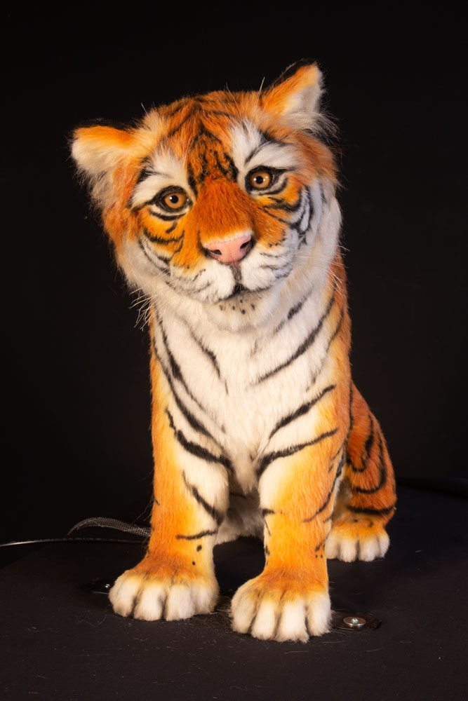 tiger cub