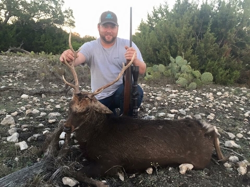 Book your Sika Hunt Today!