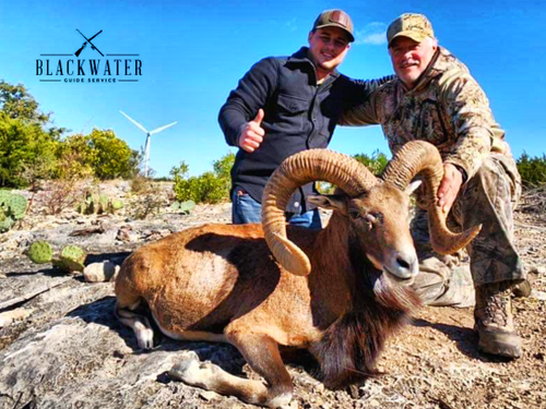 Book Your Afghan Urial Hunt Today!