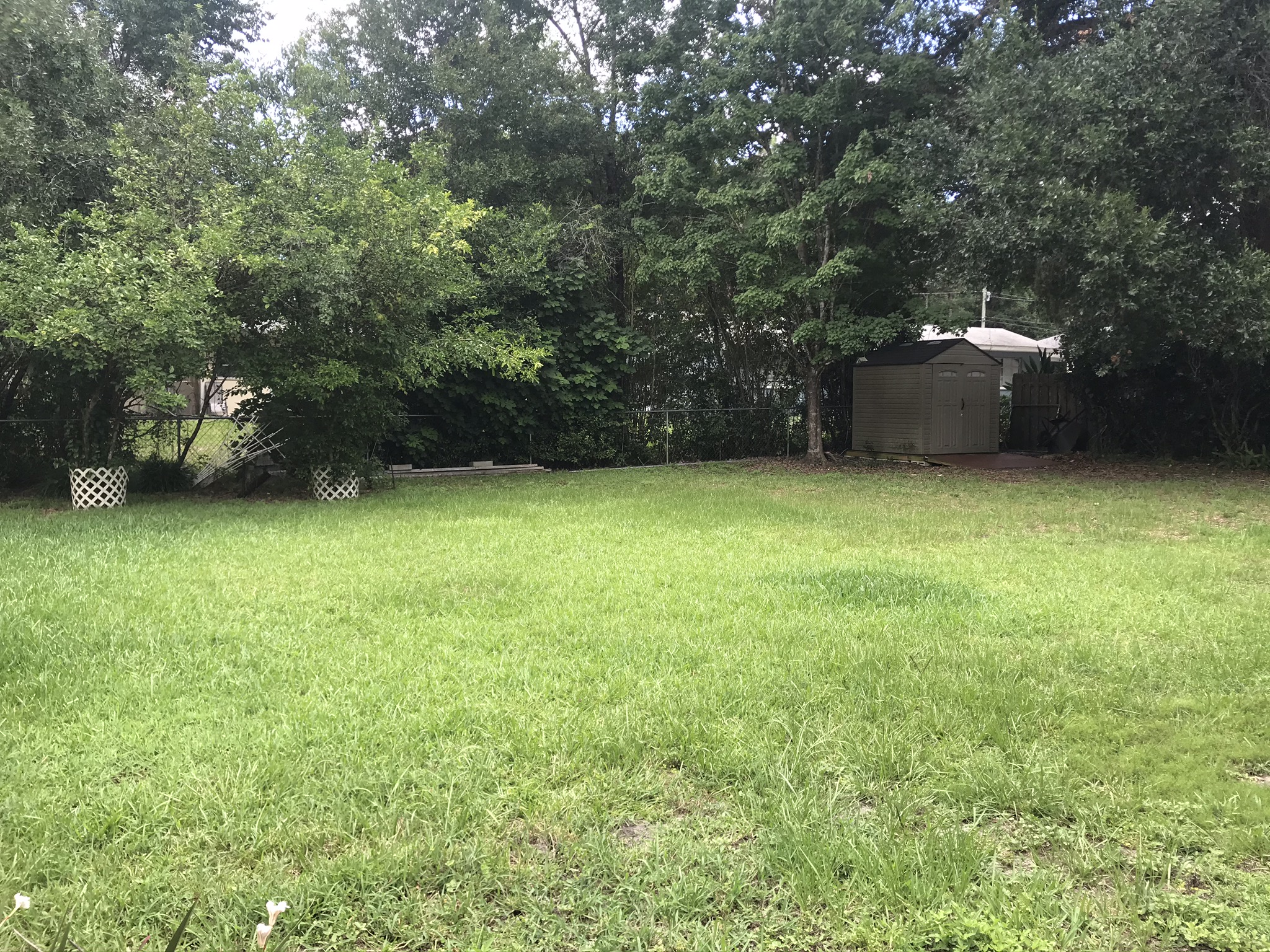 Back yard