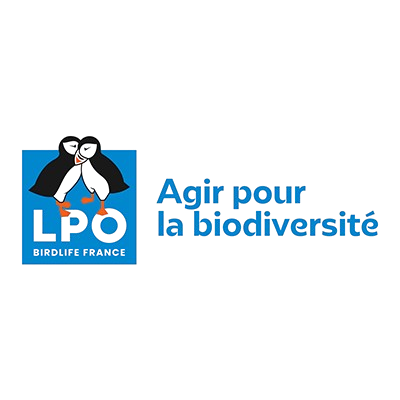 Logo Frankfurt Main Finance