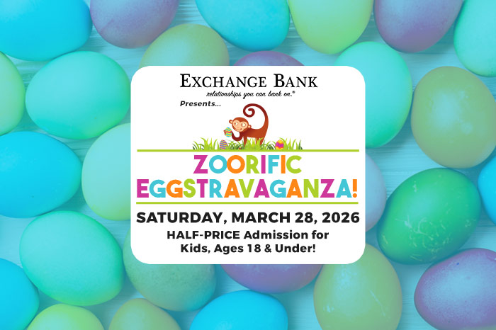 Event Logo and Image