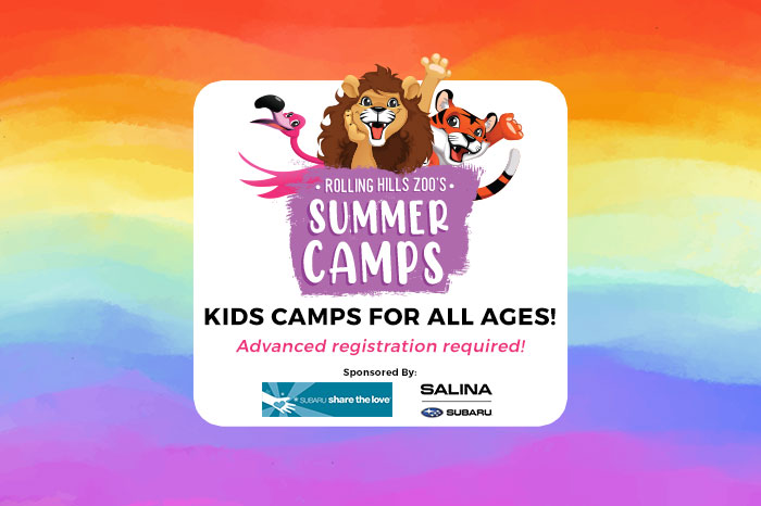 Event Logo and Image