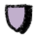 a small purple crest