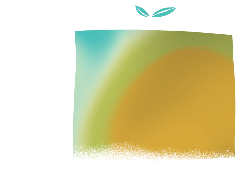 a person tending to a planter box