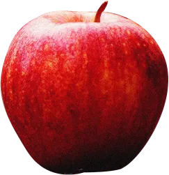 an apple