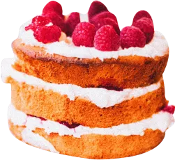 a gourmet layer cake with raspberries on top